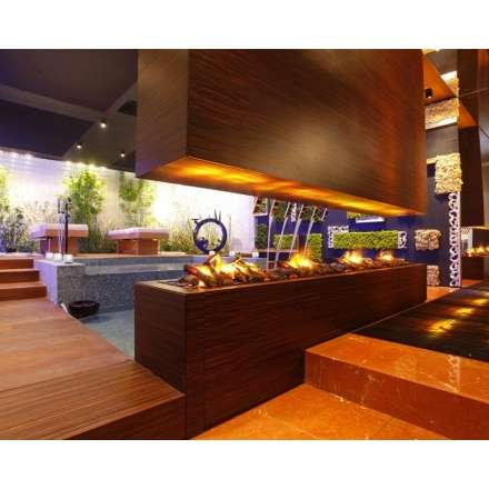 Электрокамин Dimplex Cassette L в Могилеве