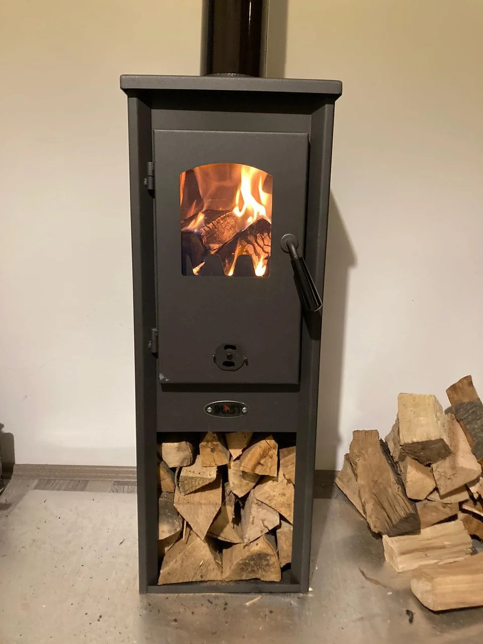 Печь-камин Blist Ekonomik Lux LM N стальная дверца Амазонка бай фото в Могилеве