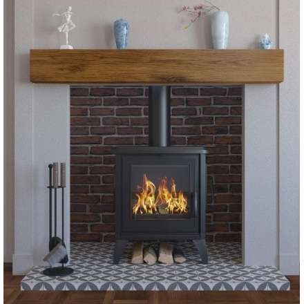 Купить чугунный Печь-камин EVEREST S10 в Могилеве в Могилеве