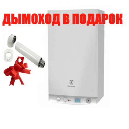 Газовый котел Electrolux GCB 30 Basic Space Duo Fi в Могилеве