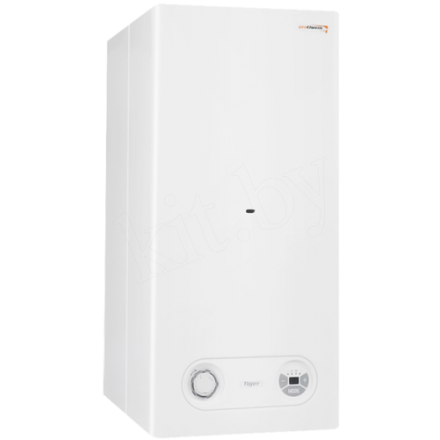 Газовый котел Protherm Тигр 24 KTZ купить в Могилеве